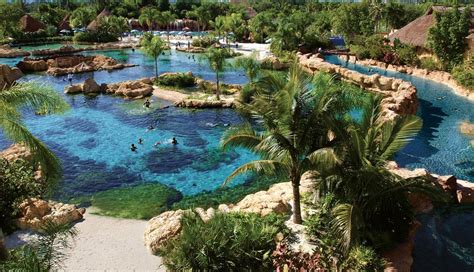 Discovery Cove Seaworld Waterpark Discount Tickets Undercover Tourist