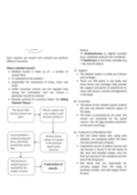 SOLUTION Function Of Skeletal Muscle Studypool