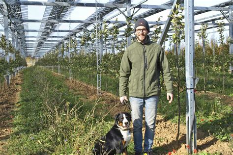 Äpfel unter Strom Agri PV in der Obstplantage agrarheute