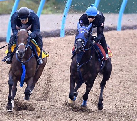 【秋華賞】ユーバーレーベン樫女王の真価 手塚師仕上がりに不安なし「満足」 競馬・レース デイリースポーツ Online