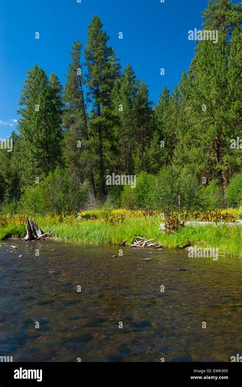 North Fork Malheur Wild And Scenic River Malheur National Forest