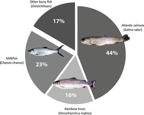 Frontiers Towards Environmental Sustainability In Marine Finfish