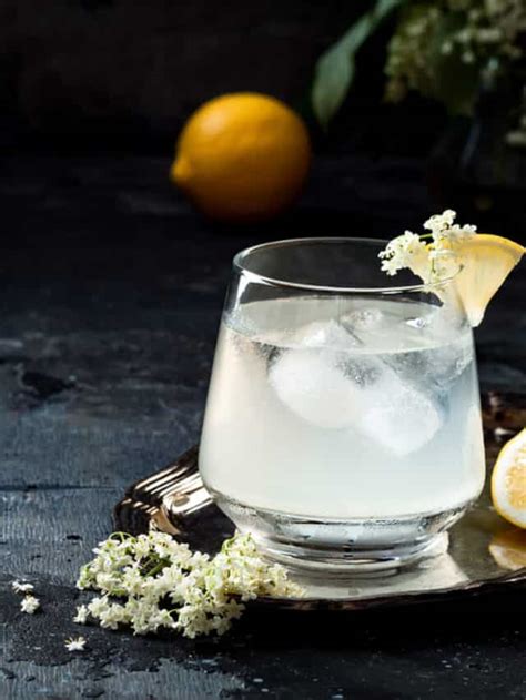 Top 6 Gin Based Cocktails Recipe To Try At Home