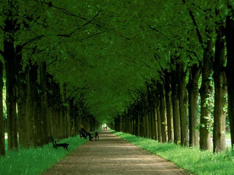 Georgengarten The Royal Gardens Of Herrenhausen Royal Gardens Of