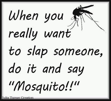 Mosquito Funny Quotes Quotesgram