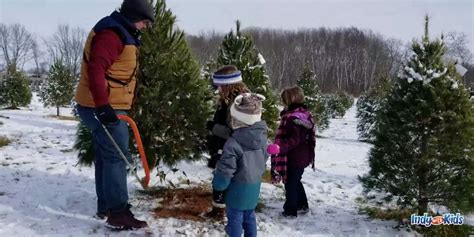 Best Indiana Christmas Tree Farms Near Indianapolis