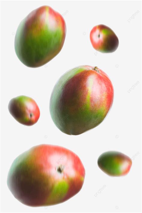 Mangos Mango Plant Citrus Vitamin Tropical Falling Png Transparent