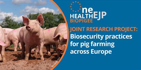 BIOPIGEE Workshop Shared Biosecurity Measures In Pig Production One