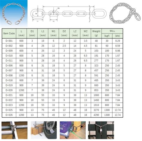 Security Chain CHAINS MIZKEN INC