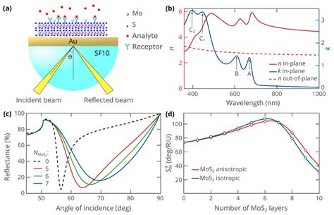 Biosensors Free Full Text Optical Anisotropy And Excitons In Mos