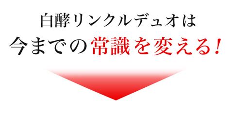 【楽天市場】【お得な定期コース】毎回62％off 白酵 リンクルデュオ 20g 1本 シワ改善 シミ予防 リンクルクリーム 送料無料【医薬部外