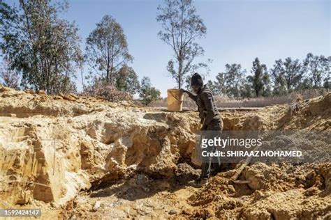 Battle Of Zama Photos and Premium High Res Pictures - Getty Images