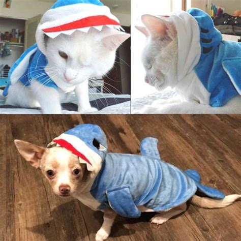 Shark Costume For Cats