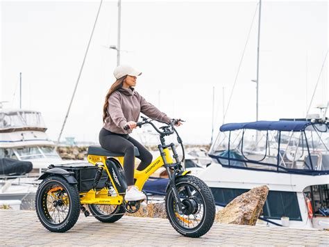 10 Advantages Of Electric Trikes For Adults - IEMLabs Blog