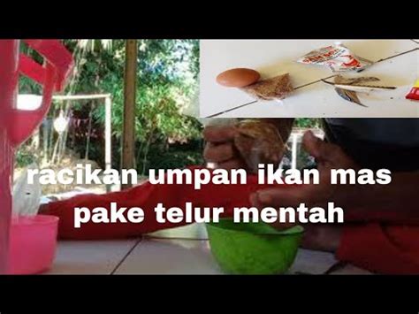 Tutorial Cara Bikin Umpan Ikan Mas Novarchannel Youtube