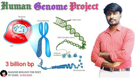 The Human Genome Project Class 12 Neet Biology Neet2023 Youtube