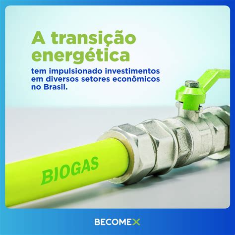 Transição Energética Brasileira Investimentos • Blog Becomex