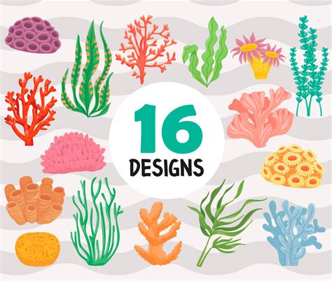 coral  seaweeds svgplantsocean coral reefalgaeaquarium corals
