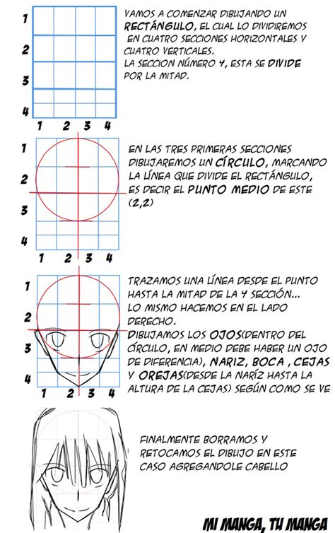 Mi Manga T Manga Dibujar Cabeza Manga Proporciones De La Cabeza