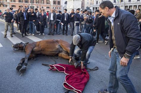 Botticelle A Roma Cavallo Stramazza Al Suolo A Largo Chighi Nanopress