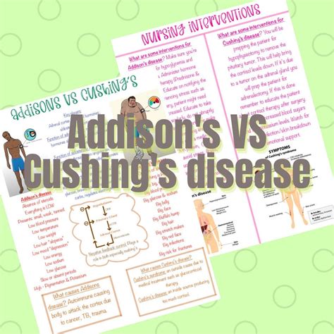 Addison S Vs Cushing S Disease Nursing School Notes Etsy