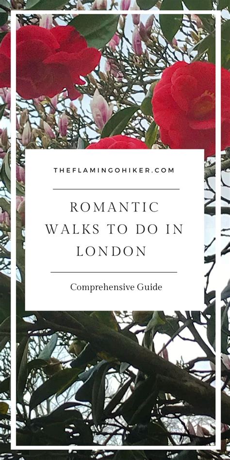 Discover The Magic Of Valentines Day Londons Romantic Walks In 2024