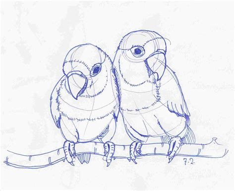 Lovebirds Pencil Drawing Love Birds Drawing Love Birds Drawing