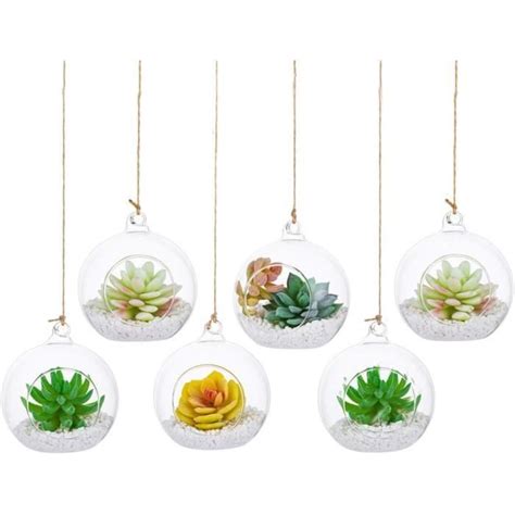 Glasseam Terrarium en Verre Suspendu 6 Pièces Grande Ouverture Vase