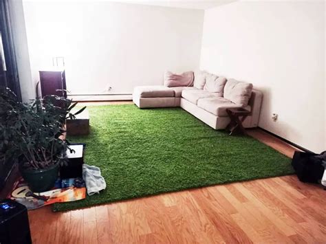 5 Green Rug That Looks Like Grass In 2024 Review