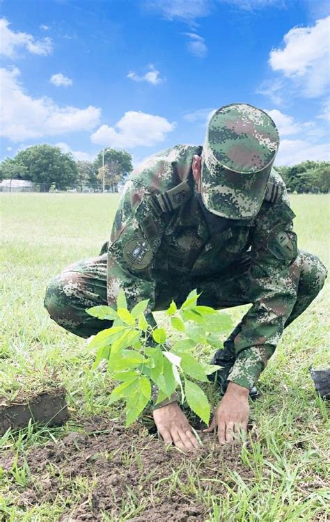 Escuela Militar de Suboficiales Sargento Inocencio Chincá continua