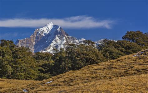 Himalayas Stock Photo Image Of Snow Laden Panoramic 74323546