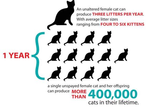 Spayneuter Lakes Region Humane Society