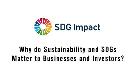 Why Do Sustainability And Sdgs Matter To Businesses And Investors