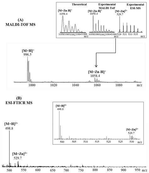 Pharmaceuticals Free Full Text Cu And Zn Interactions With Peptides