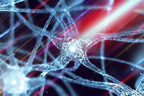 Using light to manipulate neuron excitability – MIT Department of Chemistry