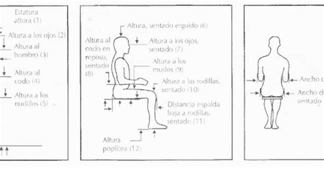 Medidas Antropometricas