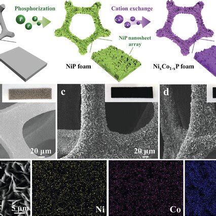 A Full Survey XPS Spectra For NiP And Ni0 96Co0 04P Nanosheet Array