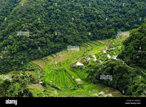 Rice Terraces Of The Philippine Cordilleras Unesco World Heritage Site