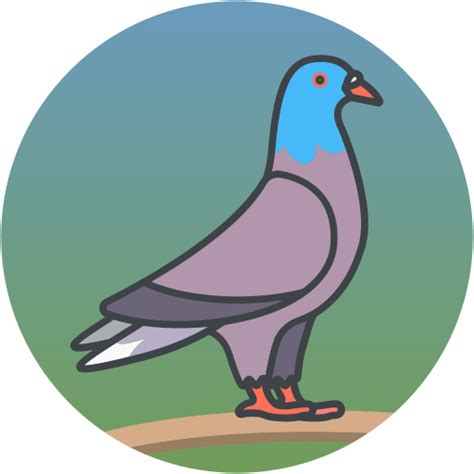 Gambar Burung Merpati Kartun Png Columbiformes Merpati Karang Burung Gambar Png Louisa Goyette