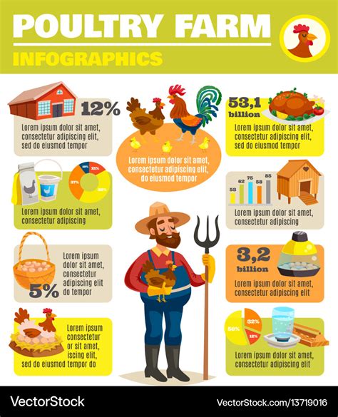 Poultry farm infographic poster Royalty Free Vector Image