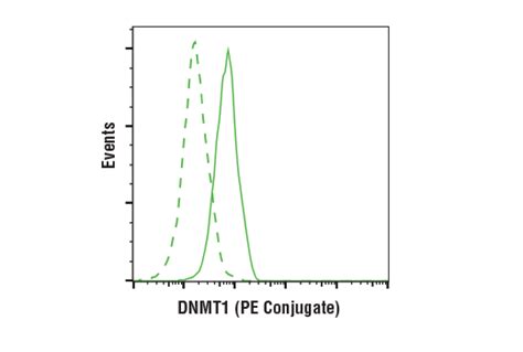 Dnmt D A Xp Rabbit Mab Pe Conjugate Cell Signaling Technology