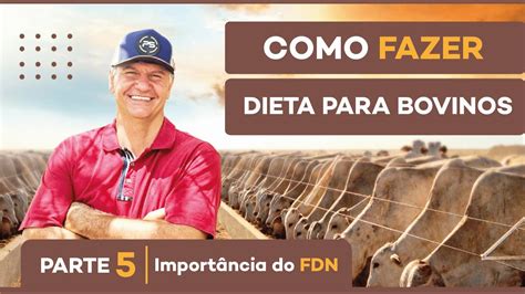 5 Importância do FDN DIETA PARA BOVINOS Como fazer PARTE 5 YouTube