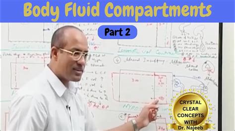 Body Fluid Compartments IV Fluids Types Uses Part 2 YouTube