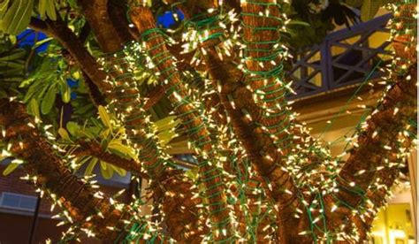 How To Put Christmas Lights On A Large Outdoor Tree