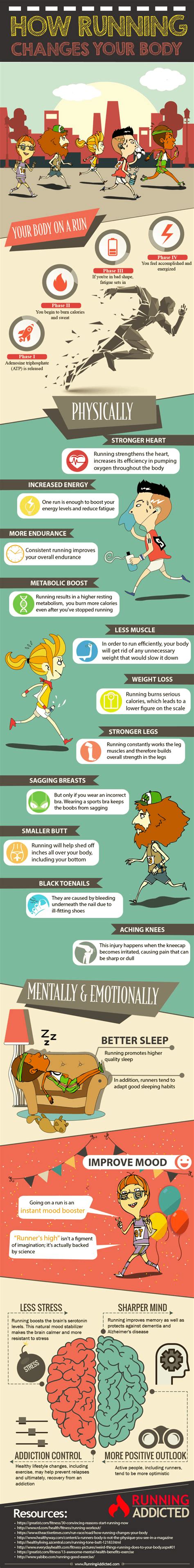 How Does Running Change Your Body Infographic