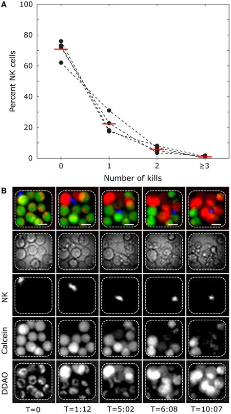 Frontiers Microchip Screening Platform For Single Cell Assessment Of