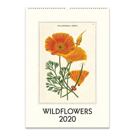 2020 Wildflowers Calendar Wall Calendar Poster Wall Art Calendar