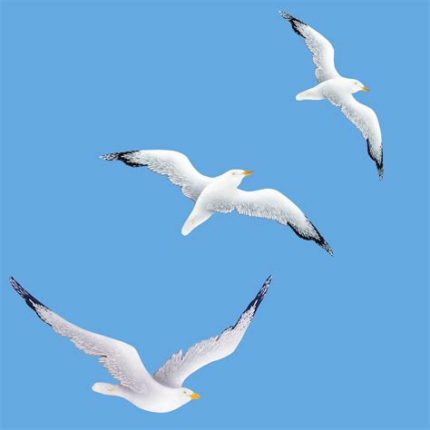 Flock Of Wooden Painted Seagulls In Flight For Coastal Nautical