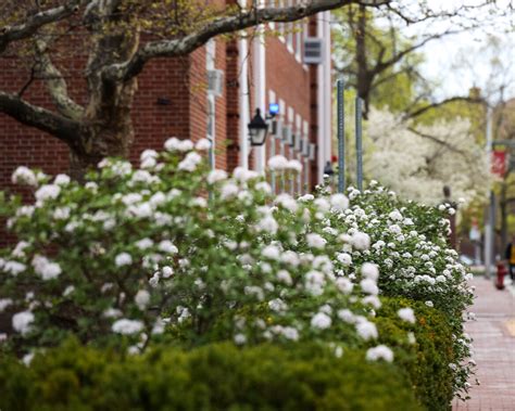 Harvard Graduate School of Education - Harvard Office for Sustainability