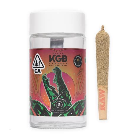 Kgb Reserve Super Lemon Haze 5 Pack Bambinos Infused Preroll 25 Grams